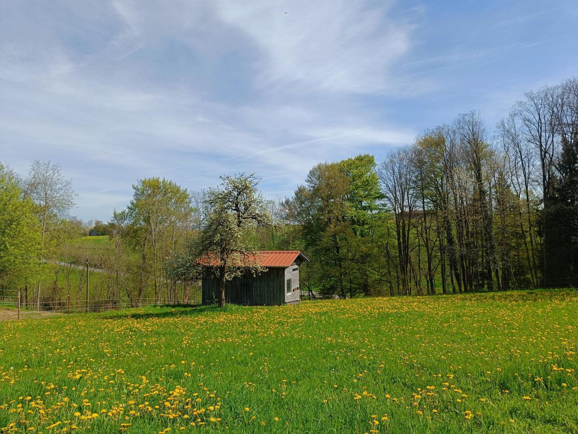 Appartamento Berghof-Glueck Kaufbeuren Esterno foto